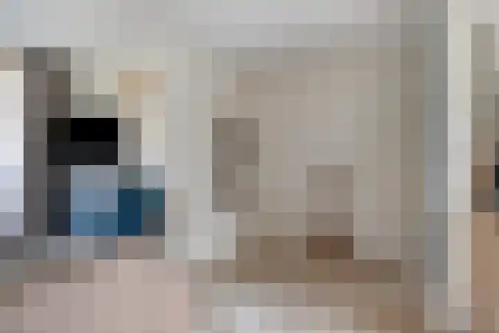 Iepenlaan 107 Schagen thumbnail 14