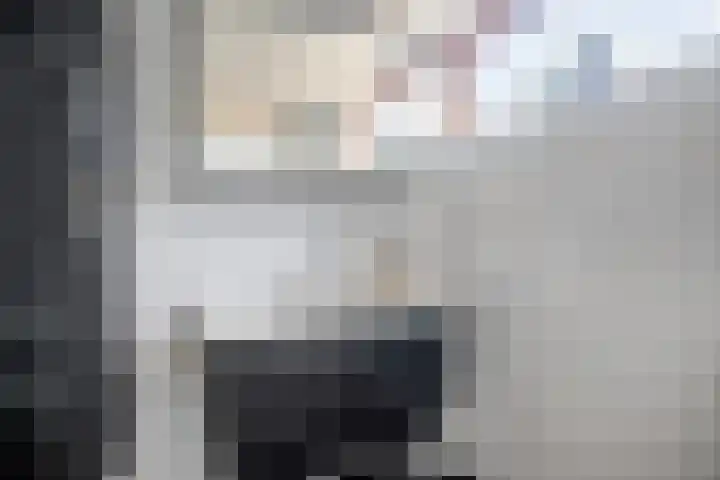 Iepenlaan 107 Schagen thumbnail 24