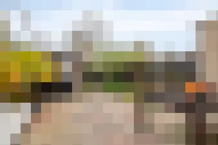 Iepenlaan 107 Schagen thumbnail 33