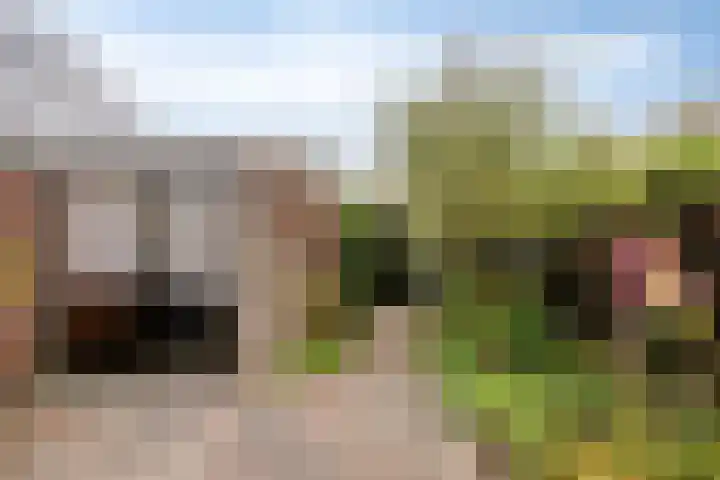 Iepenlaan 107 Schagen thumbnail 36