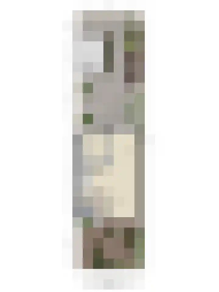 Iepenlaan 107 Schagen thumbnail 38