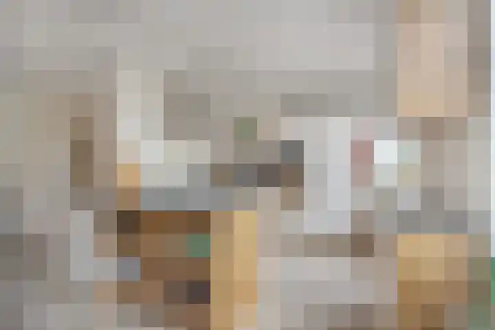 Iepenlaan 107 Schagen thumbnail 4