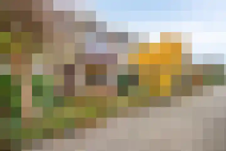 Iepenlaan 107 Schagen thumbnail 5