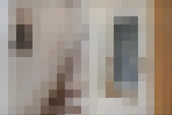 Iepenlaan 107 Schagen thumbnail 7