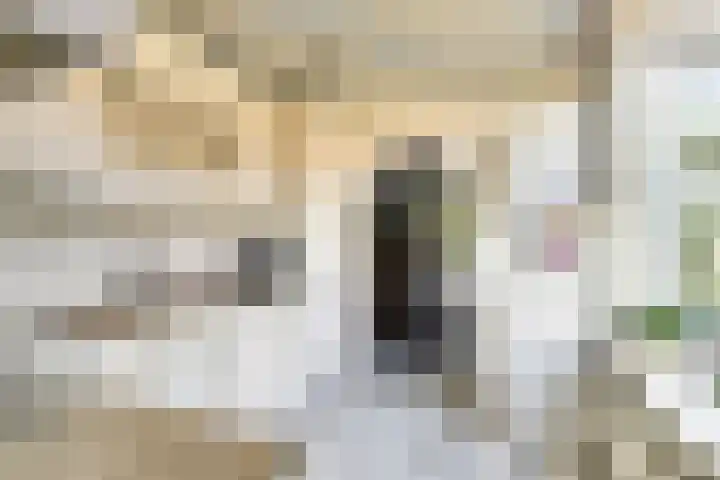 Iepenlaan 11 Hoogland thumbnail 15
