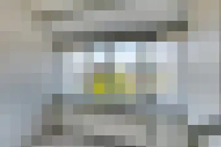 Iepenlaan 11 Hoogland thumbnail 28