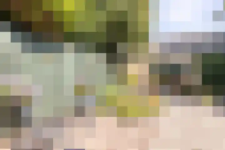 Iepenlaan 11 Hoogland thumbnail 31