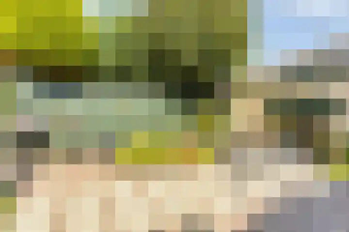 Iepenlaan 11 Hoogland thumbnail 32