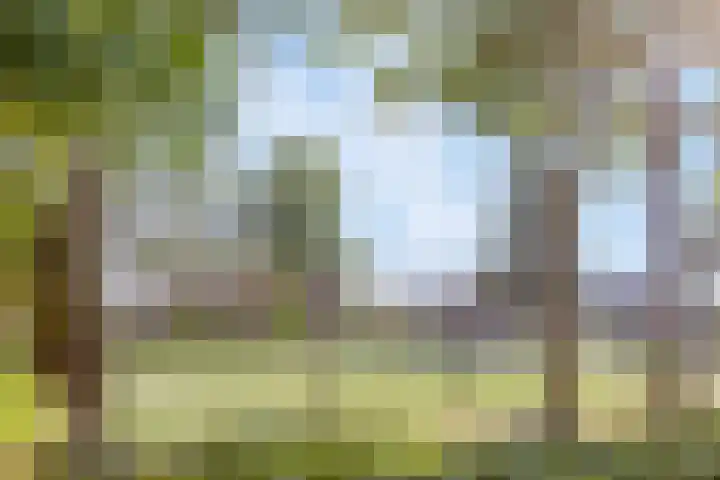 Iepenlaan 11 Hoogland thumbnail 34