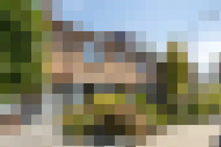 Iepenlaan 11 Hoogland thumbnail 4
