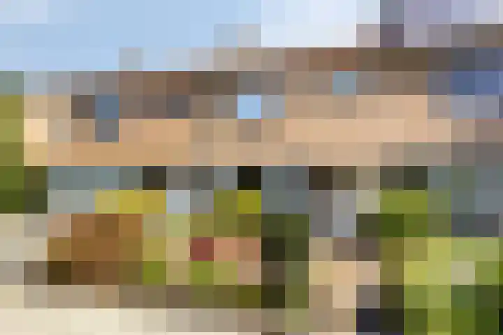 Iepenlaan 11 Hoogland thumbnail 6