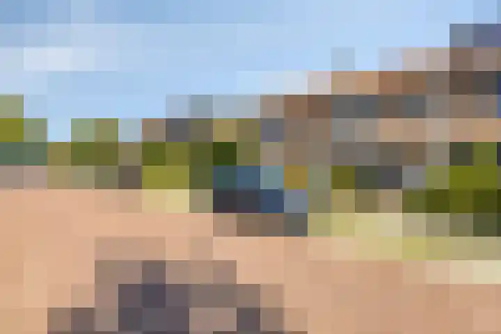 Iepenlaan 11 Hoogland thumbnail 7