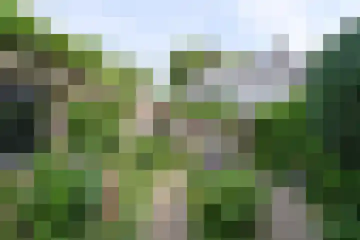 Iepenlaan 11 Huizen thumbnail 11