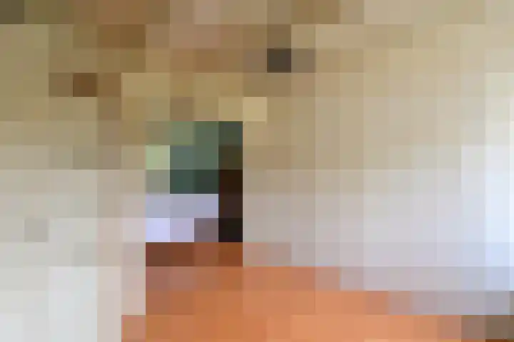 Iepenlaan 11 Huizen thumbnail 13