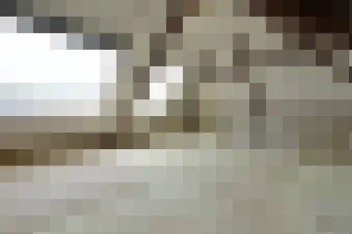 Iepenlaan 11 Huizen thumbnail 15