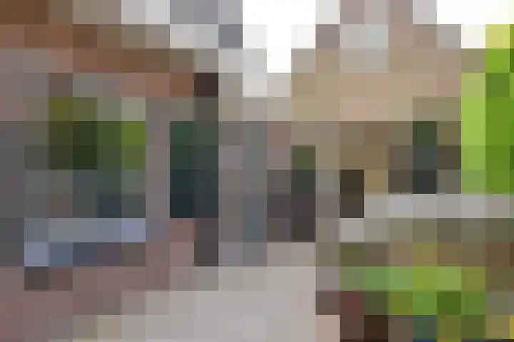 Iepenlaan 11 Huizen thumbnail 16
