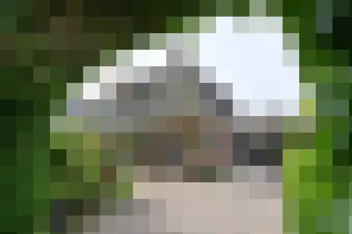 Iepenlaan 11 Huizen thumbnail 17