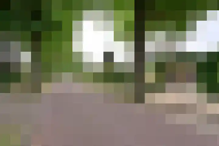 Iepenlaan 11 Huizen thumbnail 18