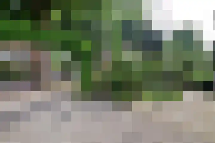Iepenlaan 11 Huizen thumbnail 19