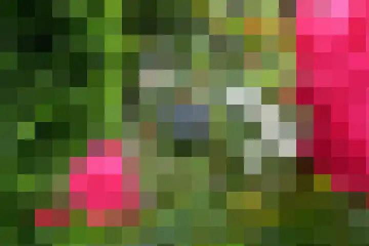 Iepenlaan 11 Huizen thumbnail 20