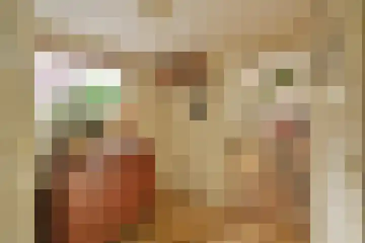 Iepenlaan 11 Huizen thumbnail 5