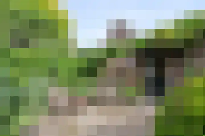 Iepenlaan 11 Huizen thumbnail 9