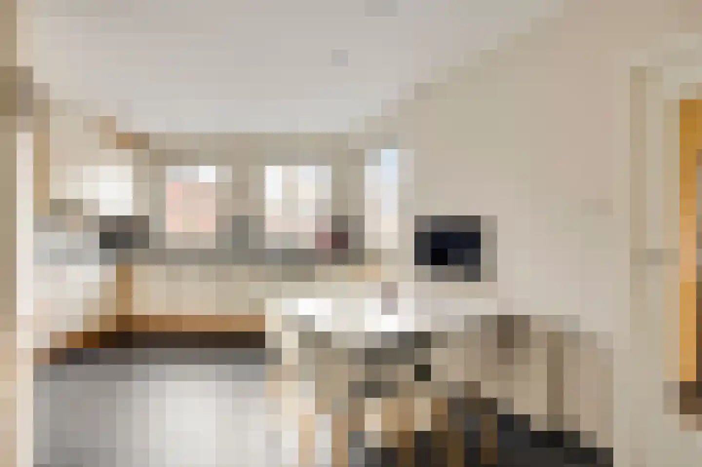 Iepenlaan 11 Roermond thumbnail 14