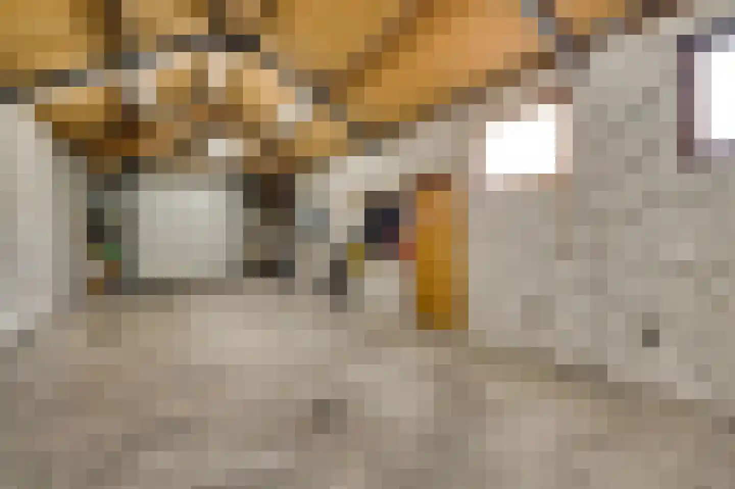 Iepenlaan 11 Roermond thumbnail 21