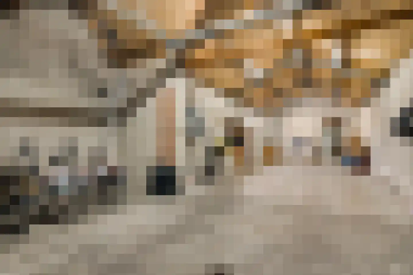 Iepenlaan 11 Roermond thumbnail 23