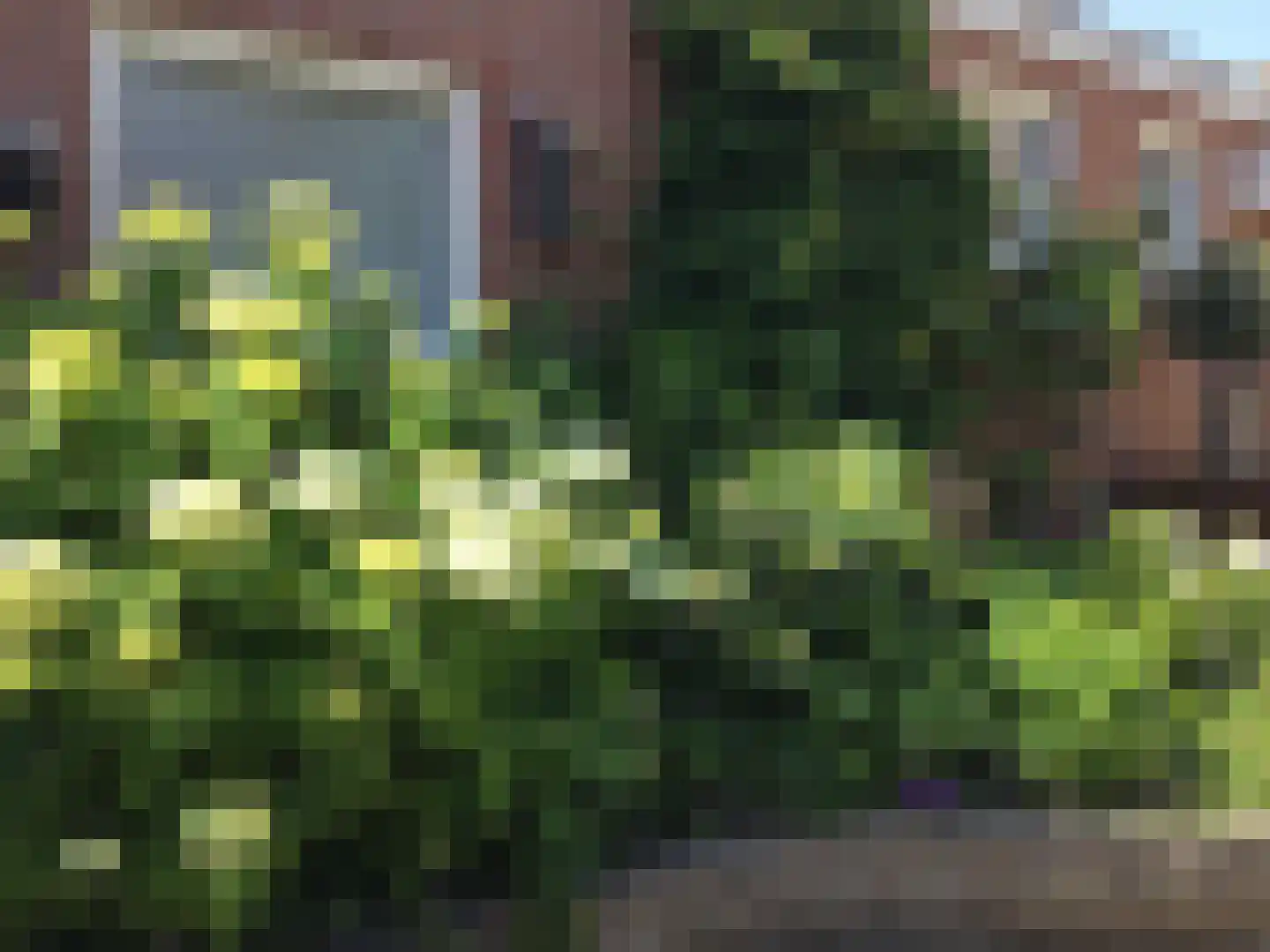 Iepenlaan 11 Roermond thumbnail 29