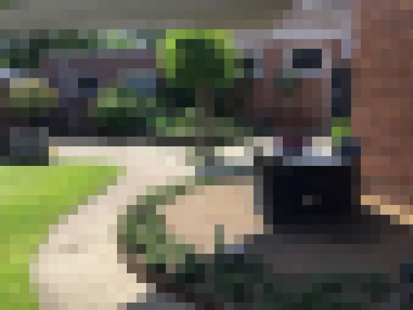 Iepenlaan 11 Roermond thumbnail 31
