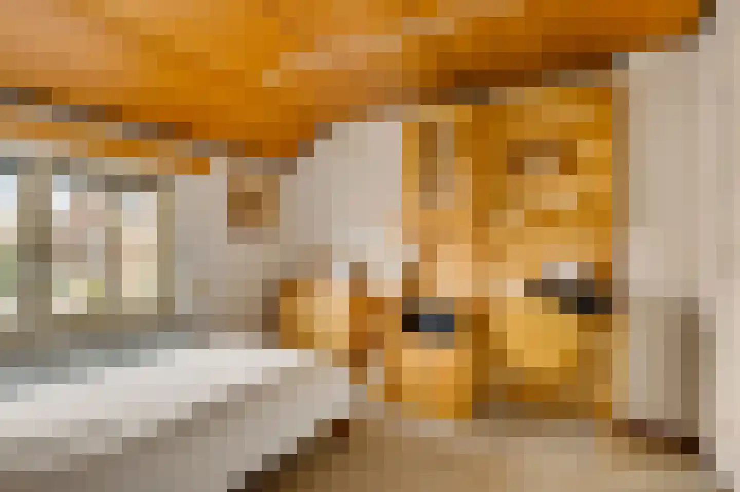 Iepenlaan 11 Roermond thumbnail 38