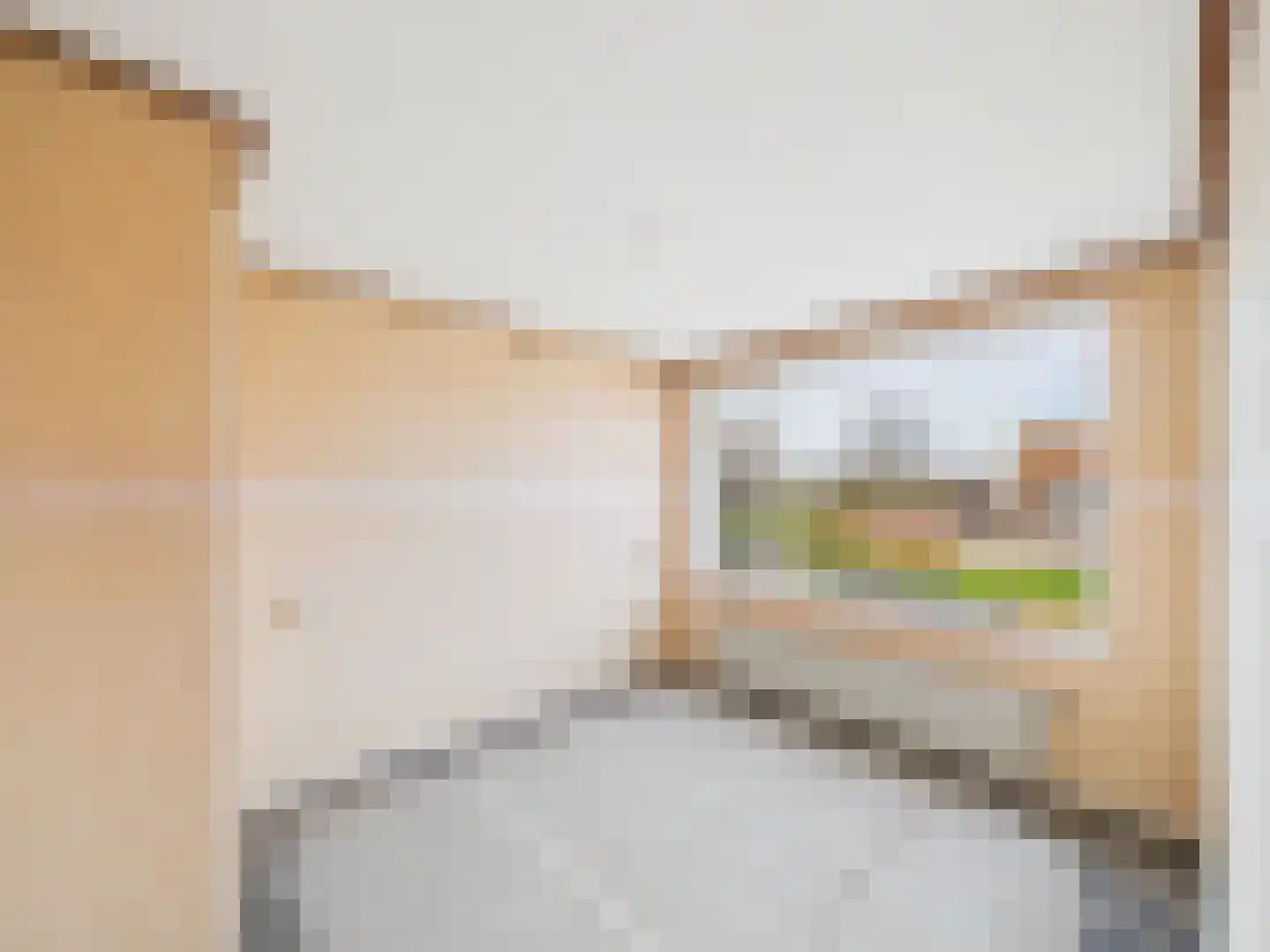 Iepenlaan 11 Terneuzen thumbnail 12