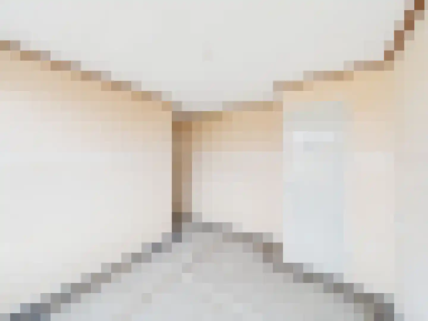 Iepenlaan 11 Terneuzen thumbnail 13