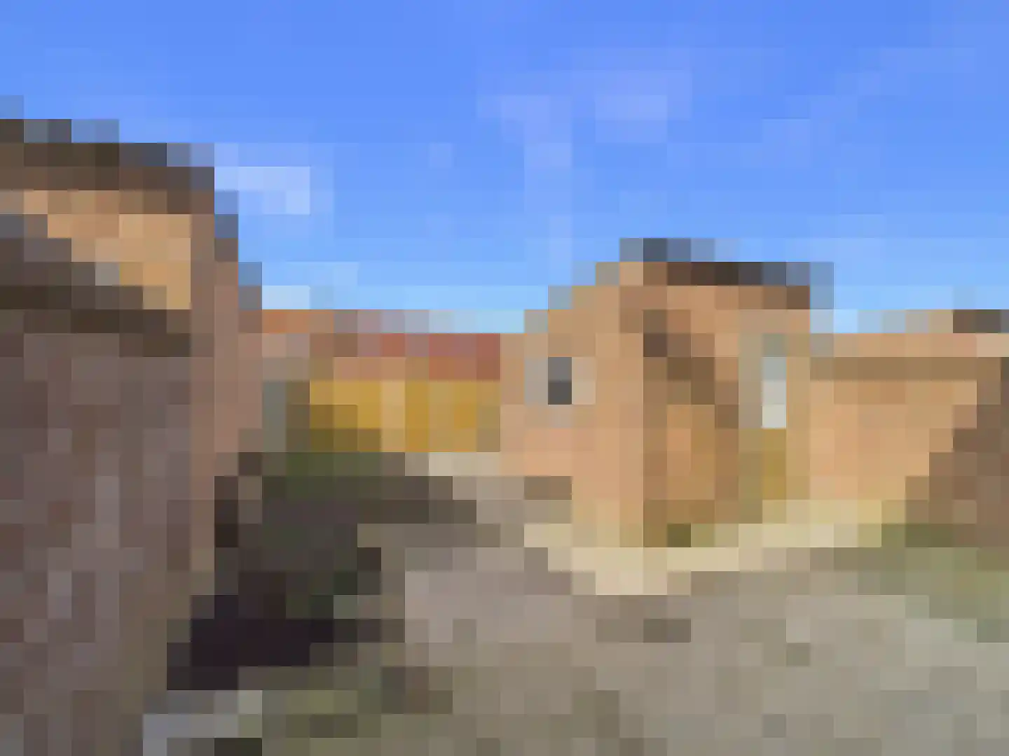 Iepenlaan 11 Terneuzen thumbnail 20