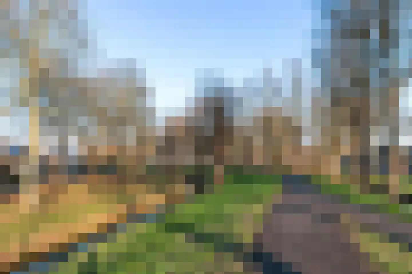 Iepenlaan 114 Dordrecht thumbnail 36