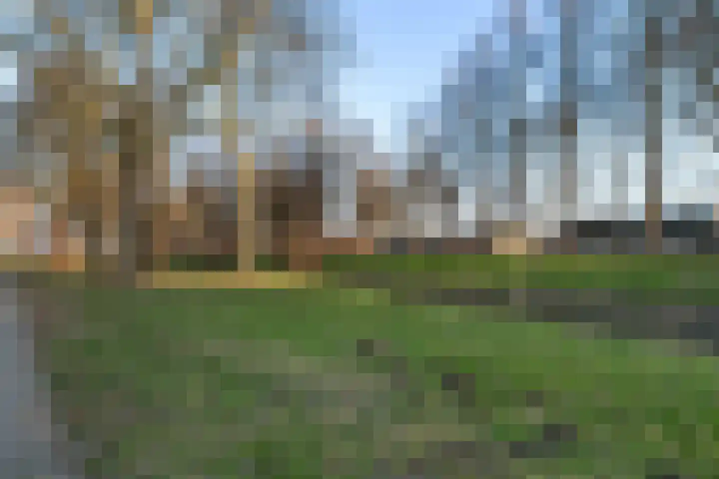Iepenlaan 114 Dordrecht thumbnail 37