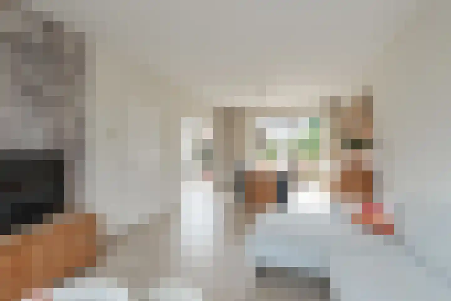 Iepenlaan 14 Bemmel thumbnail 10