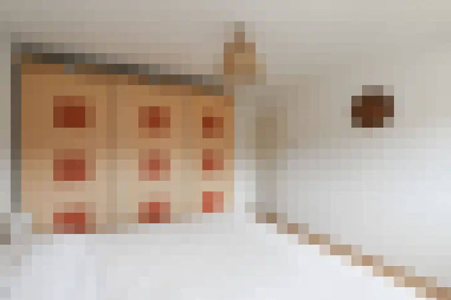 Iepenlaan 14 Bemmel thumbnail 16