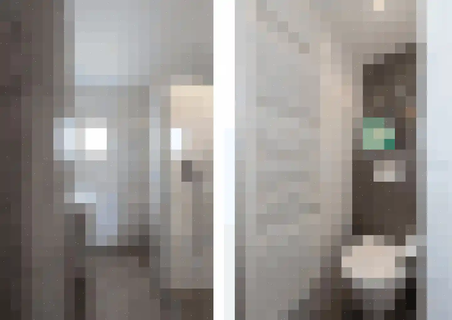 Iepenlaan 14 Bemmel thumbnail 20