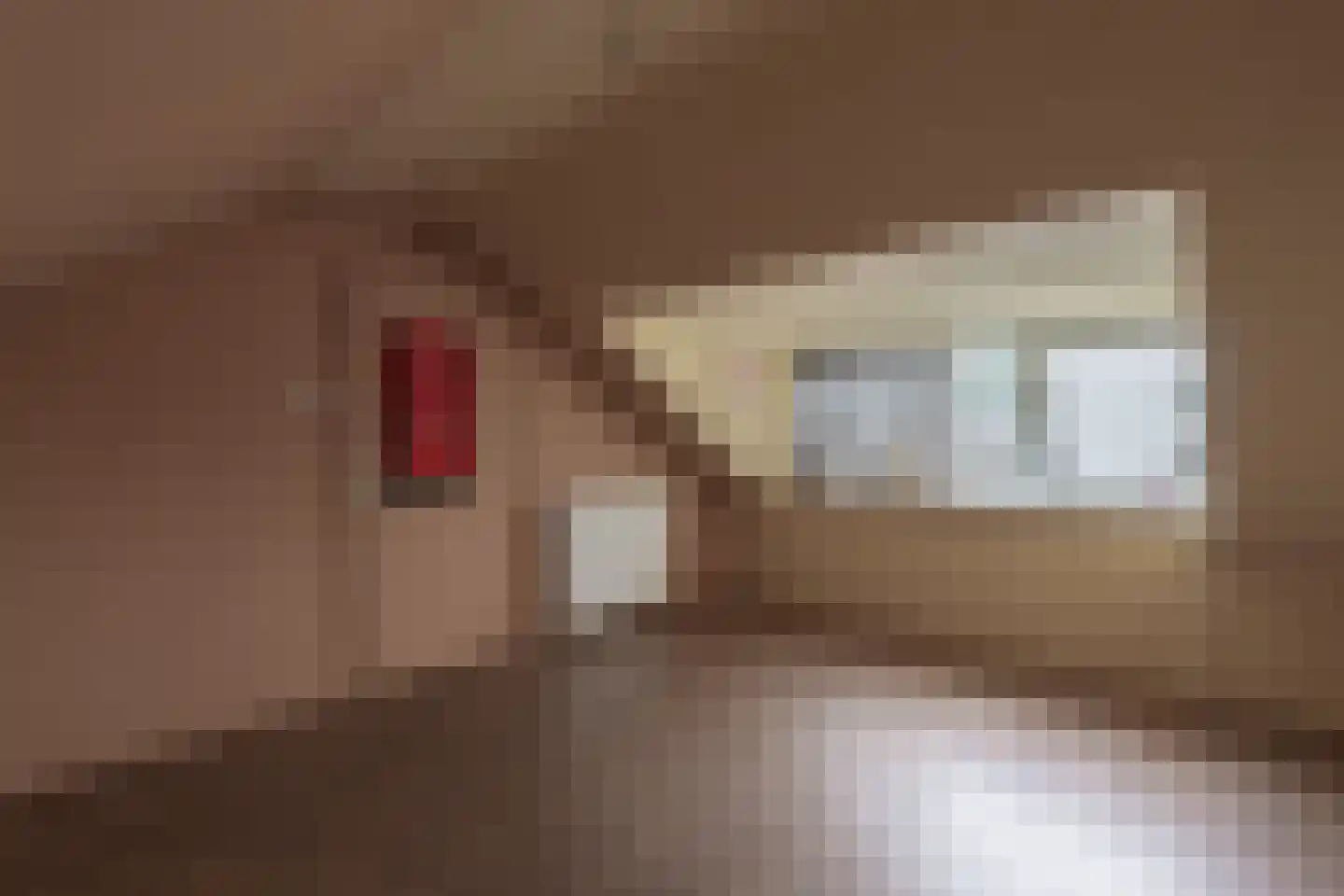 Iepenlaan 14 Bemmel thumbnail 22