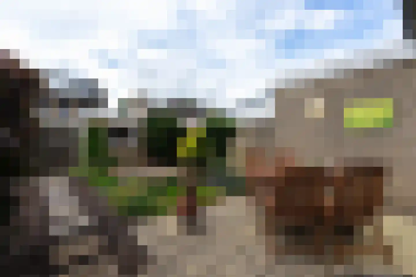 Iepenlaan 14 Bemmel thumbnail 23