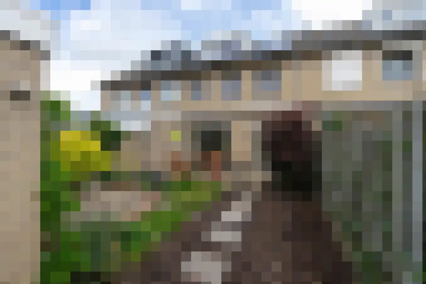 Iepenlaan 14 Bemmel thumbnail 4