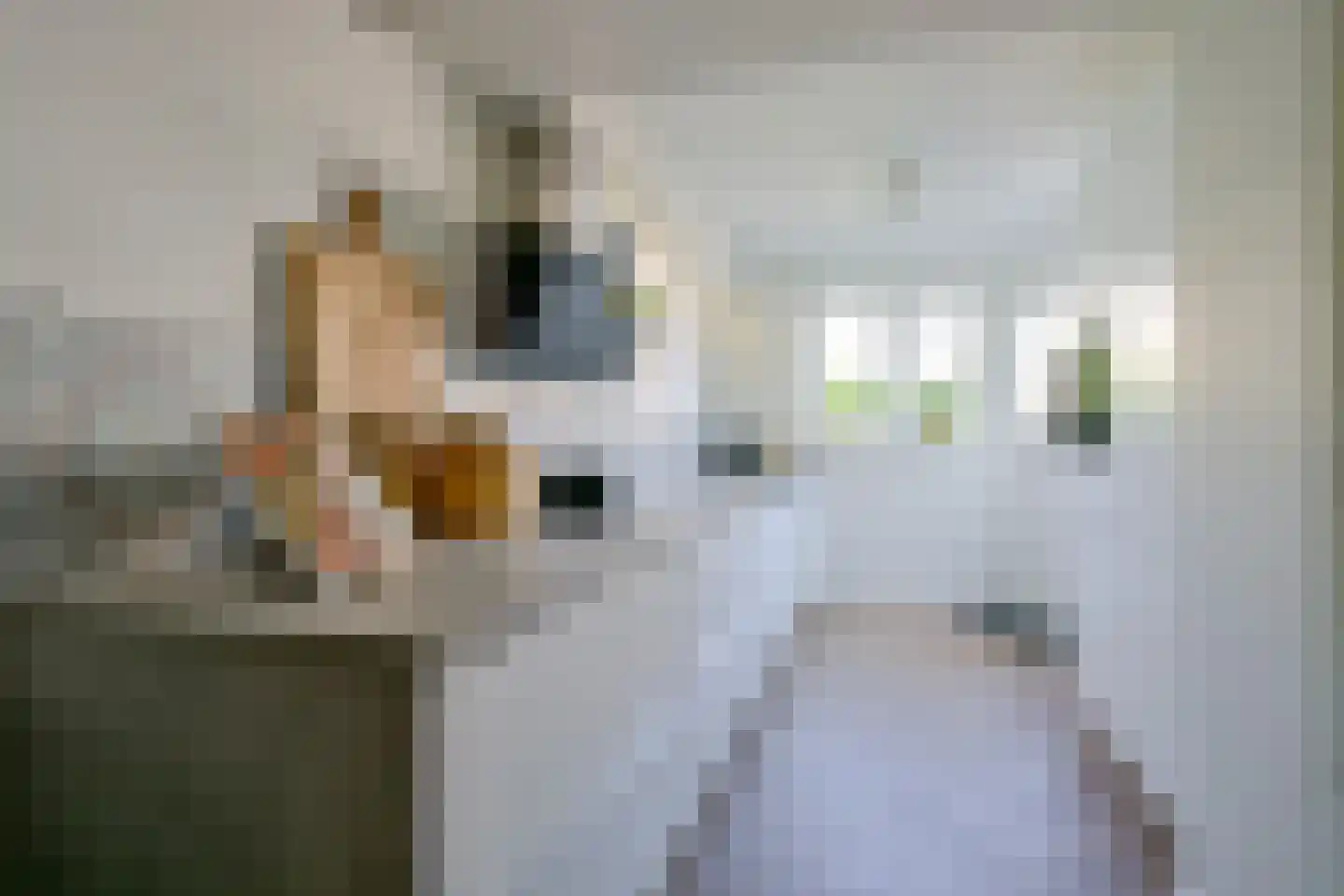Iepenlaan 141 Schagen thumbnail 11