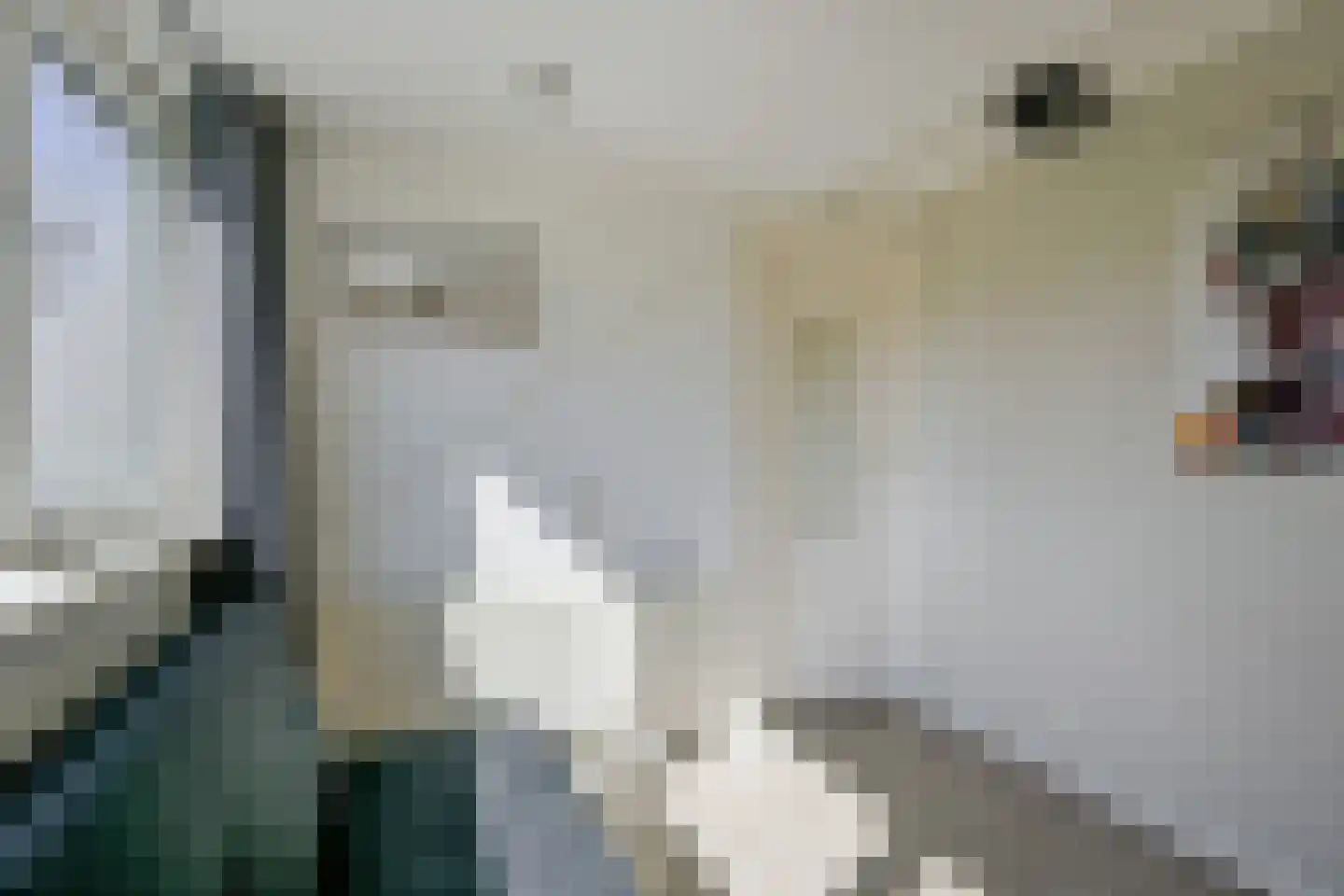 Iepenlaan 141 Schagen thumbnail 34