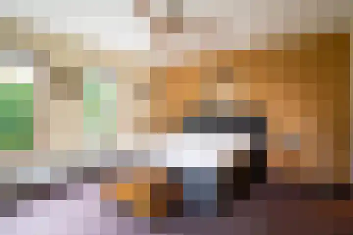 Iepenlaan 15 Geesbrug thumbnail 19