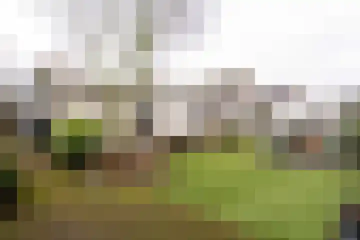 Iepenlaan 15 Geesbrug thumbnail 31