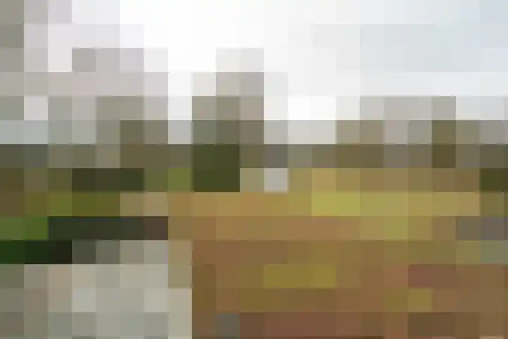 Iepenlaan 15 Geesbrug thumbnail 32