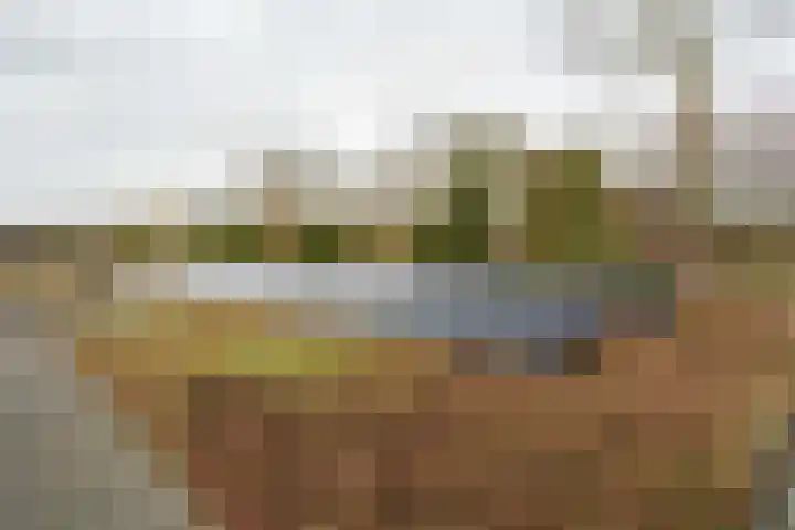 Iepenlaan 15 Geesbrug thumbnail 33