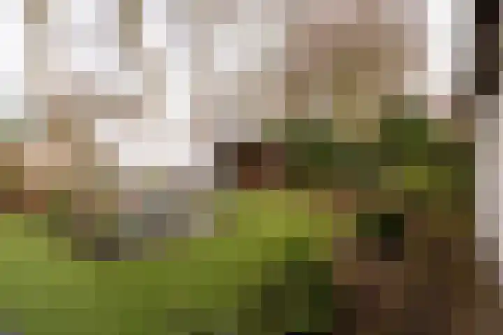 Iepenlaan 15 Geesbrug thumbnail 35